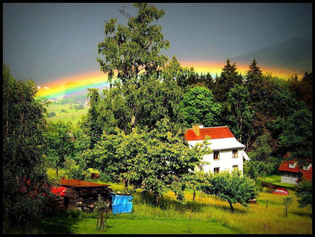 Penzion U Pily Пасеки-над-Йизероу Экстерьер фото